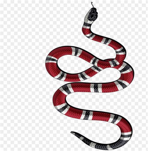 gucci snake tattoo transparent